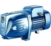 Насос PEDROLLO JSWm 3 CH-N 46JSN8AH05A1