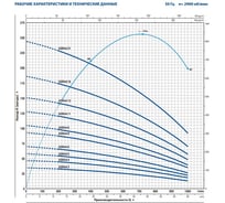 Насос PEDROLLO 6SR 44/4 PD 496B4404A