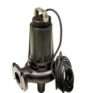 Погружной канализационный насос Dreno Pompe DNB 65-2/220 T 2001524