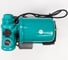 Насосная станция с расширительным баком TAIFU TGP125 2