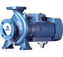 Насос Purity PSTG, 50-250/220 (N) 100601431