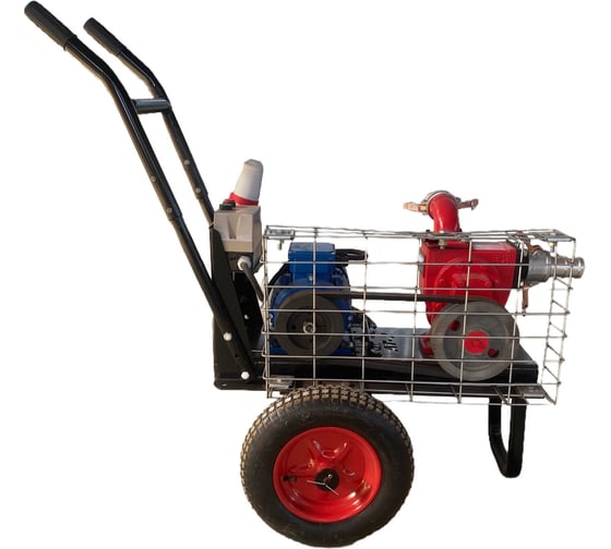 Мотопомпа АЛЬФА-ТЕХНИК ООО МП4Э.НШН.АТ2 791 1