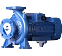Насос Purity PSTG, 32-125/7 (N) 0,75 кВт 400В 50Гц IP 55 от -10С до 120С с комп 100602773