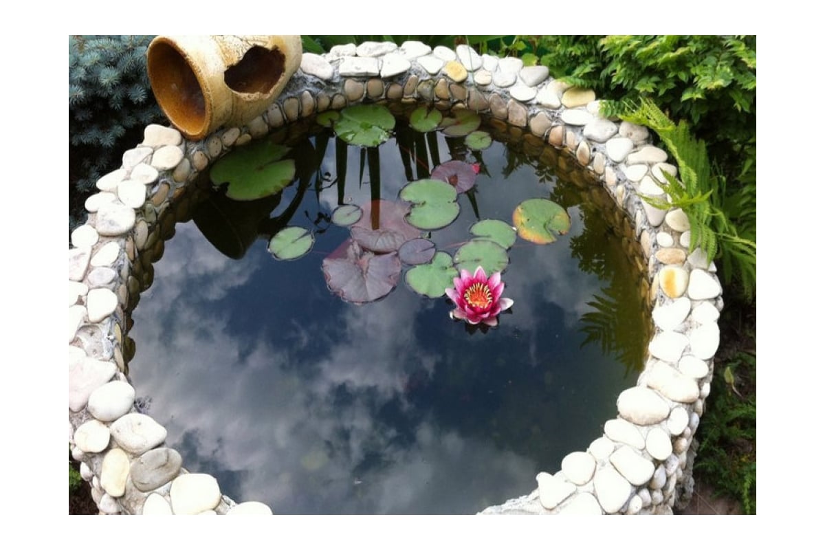 Гольяновский пруд москва зимняя. Ваш любимый пруд. Ваш любимый пруд. Ваш любимый пруд. Ваш любимый пруд.