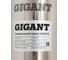 Скважинный насос Gigant CACH-11 4