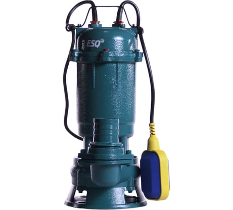 Насос ESQ ГНОМ-М 10-10-50/0.75-220 02.31.216205