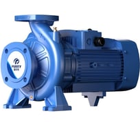 Насос Purity PSTG 80-125/55 (N) 100602820