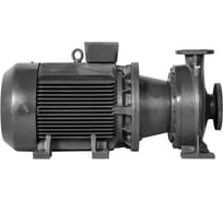 Насос центробежный консольно-моноблочный DN.ru НЦКМ200-150-315/4-5-АИР380/660/4-55 с электродвигателем D330-52116