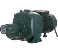 Поверхностный самовсасывающий насос Metabo P 600/1600 W 0250060009