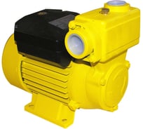 Поверхностный самовсасывающий насос Энкор Ведуга 2 БЦС-0,83-65 45013