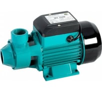 Поверхностный насос Omnigena WZ 250 B 00000302