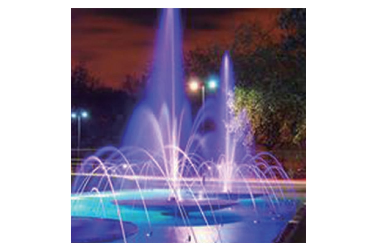 Гольяновский крым. Ваш любимый пруд. Рокарий болотце. Ваш любимый водоем. Пруд марс в алтуфьево.