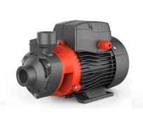 Вихревой насос LEO APm 30 1042