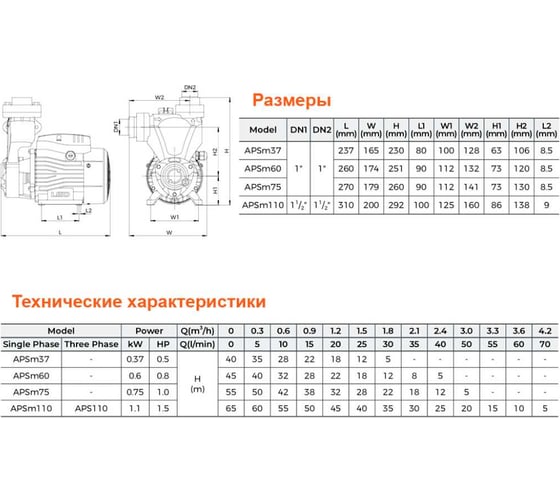 Вихревой самовсасывающий насос LEO APSm 60 496