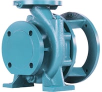 Консольно-моноблочный насос с двойным сальниковым уплотнением ESQ 65-50-125 02.01.217034