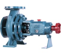 Консольный насос ESQ 65-50-160 02.01.216903