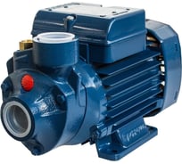 Насос для выставки Pedrollo PKm 60 4115005