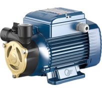 Насос Pedrollo PQAm 50 41PNQA5PA1