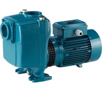 Самовсасывающий насос для загрязненной воды Calpeda A 50-125CE 230/400/50 Hz 100005641