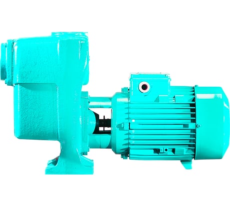 Самовсасывающий насос для загрязненной воды Calpeda A 65-150A/B 400/690/50 Hz 100374125