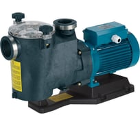 Электронасос для бассейна с предварительным фильтром Calpeda MPCM 31/A 230/50 Hz TUV 100381791