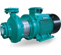 Центробежный моноблочный насос LEO XST 80-160/150 1857