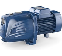 Автоматическая насосная станция с защитой сухого хода Pedrollo HYDROFRESH JSWm 1AX-N-CL 24 41349081