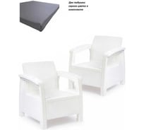 Набор из 2-х кресел ротанг WORKY белый с комплектом подушек серого цвета, 73x70x79 см ARD258021