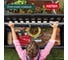 Скамейка для сада KETER EDEN GARDEN BENCH 265 л, графит 250076 4