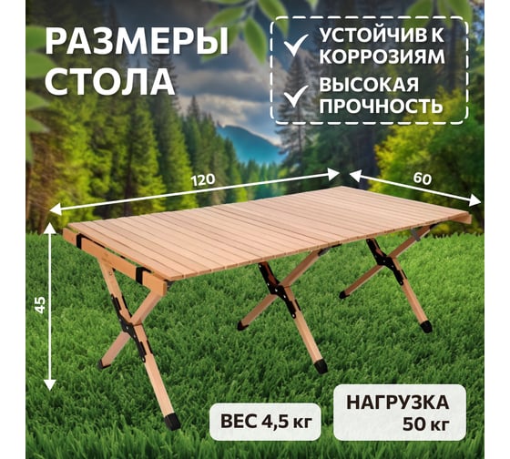 Набор для отдыха National Tree Company реечный стол 120 на 60 со стульями Н120-HD
