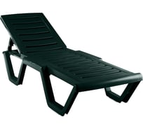 Шезлонг Элластик-Пласт Атлант темно-зеленый ЭП 860451