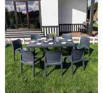 Обеденный комплект ROYAL FAMILY JULY L 858-81