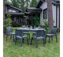 Обеденный комплект ROYAL FAMILY JULY M 856-81