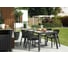 Стул Keter Elisa chair капучино 247100 2
