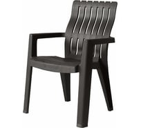 Стул Чикаго/Chicago, венге B:rattan 40-610-2 BIO