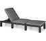 Шезлонг Keter Daytona Delux графит 252223 1