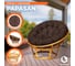 Кресло Tetchair PAPASAN 23/01 W Honey с подушкой, ткань, мед/коричневый 3М7-147 13732 4