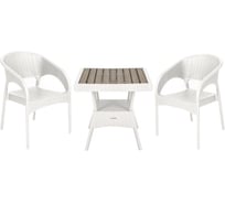 Набор мебели Garden Story Ola Dom 2 стула + стол 76x76 см белый S-GS02 + K-GS02