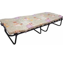 Раскладушка Даметекс Милена-М В22-М 55116