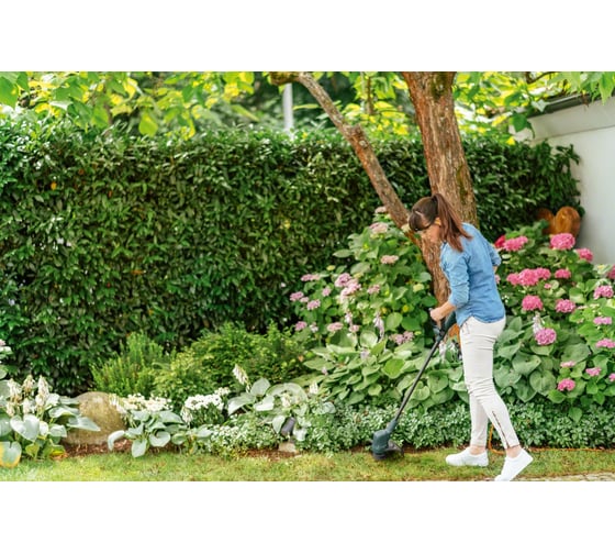 Триммер Bosch EasyGrassCut 23 06008C1H00