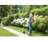 Аккумуляторный триммер Bosch UniversalGrassCut 18 06008C1D01 3
