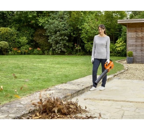 Аккумуляторный аксиальный садовый воздуходув Black+Decker BCBL200L-QW