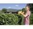 Кусторез KARCHER HGE 18-50 1.444-240 11
