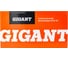 Бензиновая газонокосилка Gigant 53 см 6 л.с. PLM-04 35
