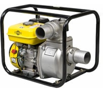 Бензиновая мотопомпа MATEUS LT20CX-168FLT MS04001
