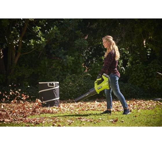 Воздуходувка Ryobi ONE+ 18В RY18BLXD-150 5133005952
