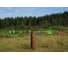 Штанговый аккумуляторный кусторез Greenworks G40PHA 40V 2300407 3