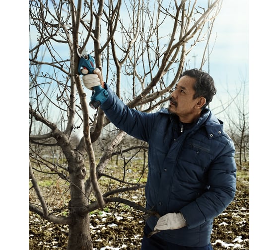 Аккумуляторный секатор Bosch 12 В 06019K1020