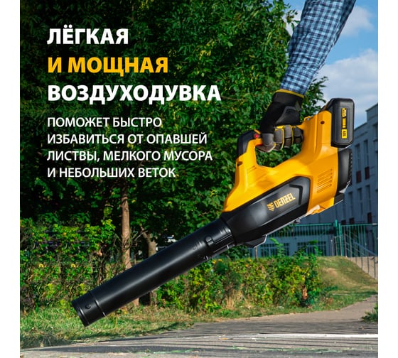 Аккумуляторная воздуходувка DENZEL RB180-36 36 В, 4 А*ч 59610