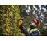 Аккумуляторный кусторез DEWALT XR 18 В DCMHT563P1-QW 3